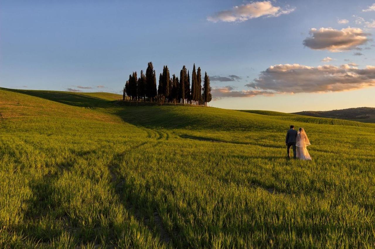 L' Antica Oliviera D'Orcia Lejlighed San Quirico d'Orcia Eksteriør billede