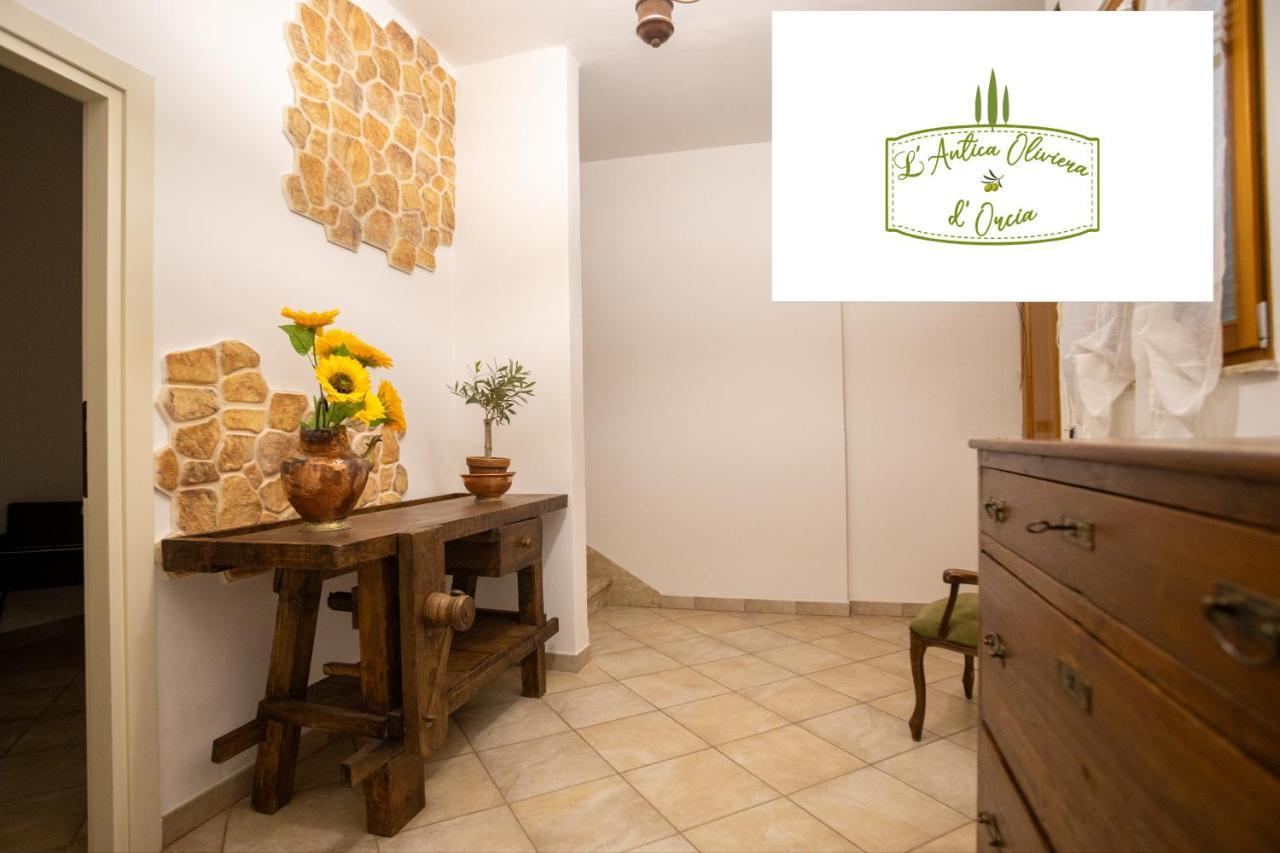 L' Antica Oliviera D'Orcia Lejlighed San Quirico d'Orcia Eksteriør billede